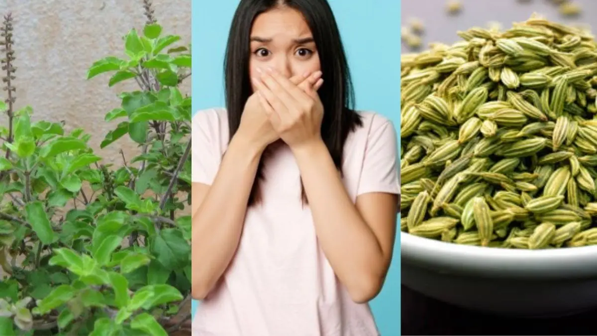 Home remedies to cure bad breath mouth smell