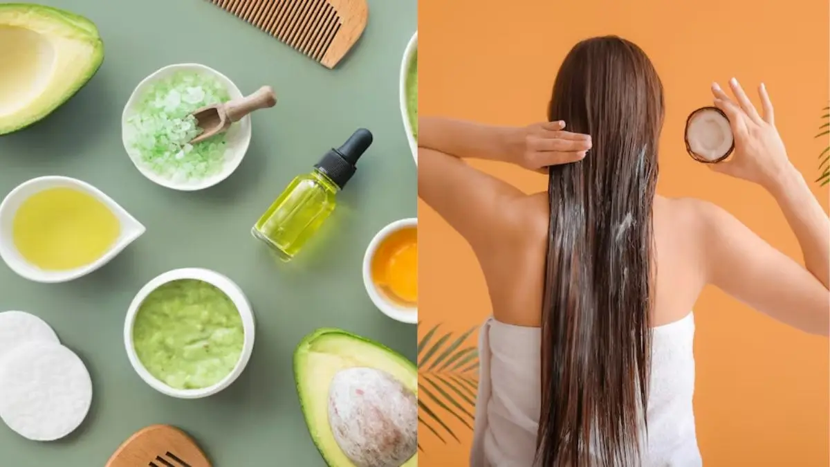 Homemade Conditioner: घर पर खुद से इस तरह बनाएं कंडीशनर, पैसों की भी बचत और बालों के लिए भी असरदार Homemade Conditioner