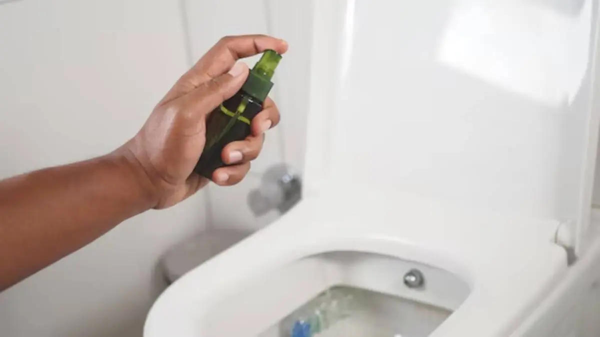 Homemade Freshener for toilets