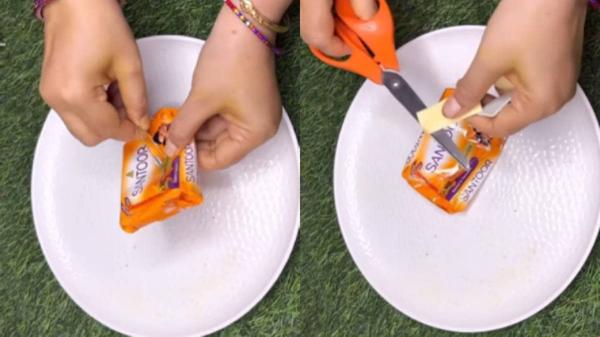 Description of the pic