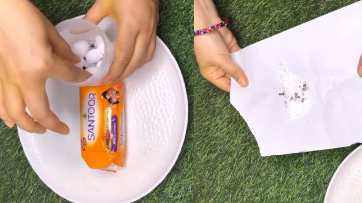 Description of the pic