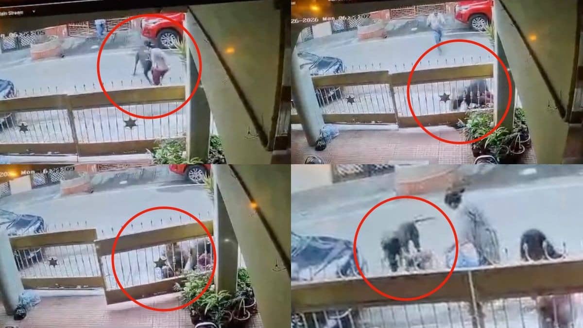 Horrific Video Captures Pet Dog’s Brutal Attack On Woman In Bengaluru Leaving Her With Over 50 Stitches On Face And Head