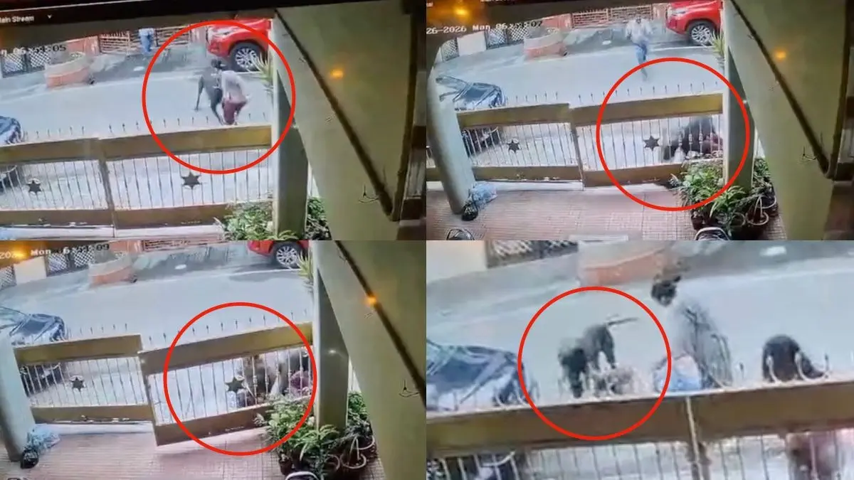 Horrific Video Captures Pet Dog’s Brutal Attack On Woman In Bengaluru Leaving Her With Over 50 Stitches On Face And Head Horrific Video Captures Pet Dog’s Brutal Attack On Woman In Bengaluru Leaving Her With Over 50 Stitches On Face And Head