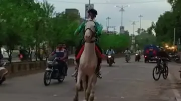 Watch: Horse Kicks Woman off Scooty on Busy Road, Video Goes Viral Horse