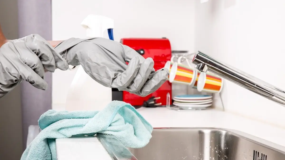 Delhi CA's 3 Corporate Lessons After Her Maid Resigned For Not Getting Rs 1,000 Raise House help, domestic help