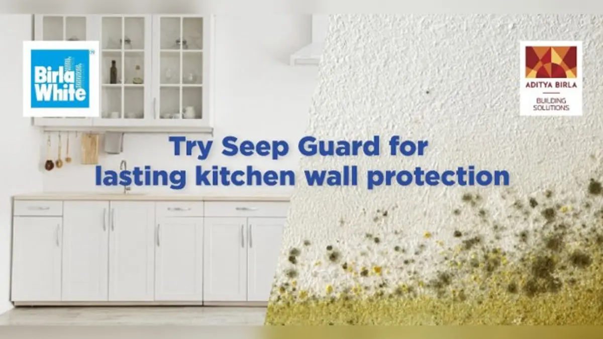 How Do I Stop Algae Growth Behind My Kitchen Cabinets Even After House Waterproofing?