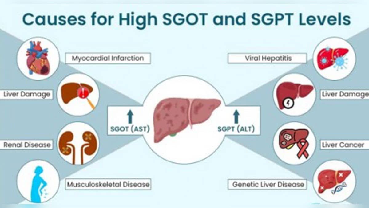 How Elevated SGOT And SGPT Levels Can Be Normalized Naturally | Explained By Swami Ramdev