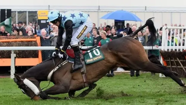 How to Bet on Horse Racing