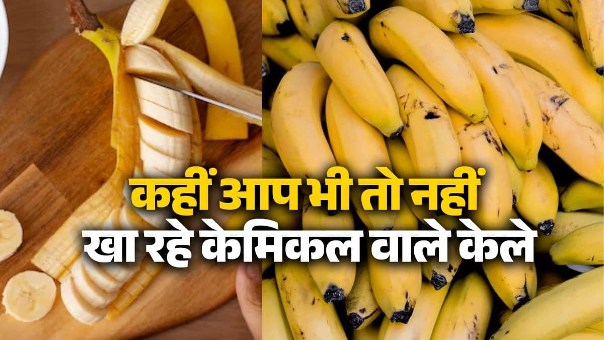 Banana: Bananas containing chemicals are being sold in the market, are you also consuming poison in your haste? Learn how to identify the right one Banana: Bananas containing chemicals are being sold in the market, are you also consuming poison in your haste? Learn how to identify the right one