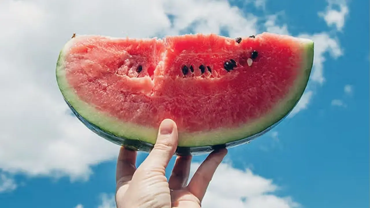 How To Check Watermelon Is Real Or Fake?