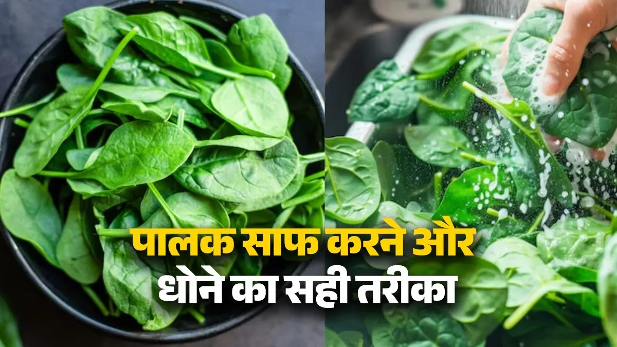 how to clean and wash spinach