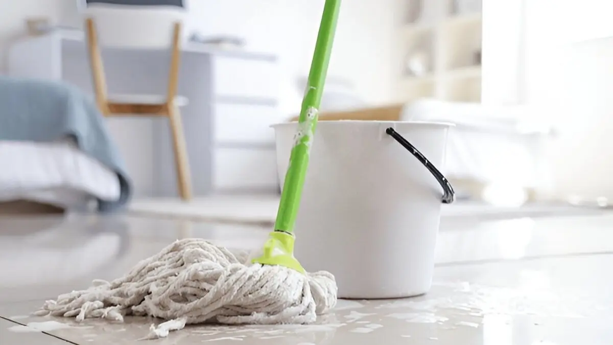 how to clean sticky floor in monsoon rainy season using homemade ingredients