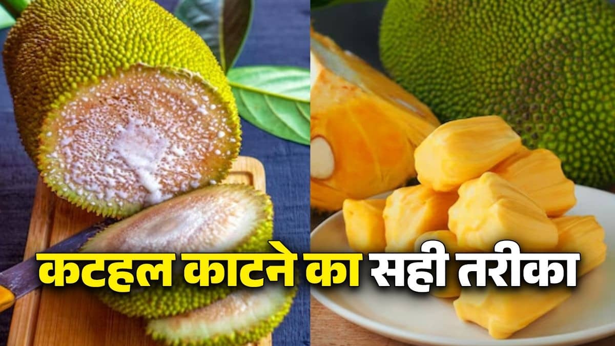 how to cut peel raw jackfruit easy tips kathal chopping tips without stickiness