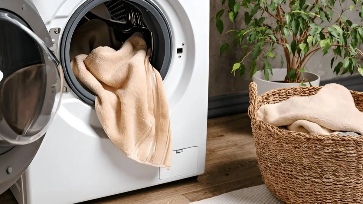 how to get rid of bad smell of washing machine in monsoon rainy season using vinegar and baking soda