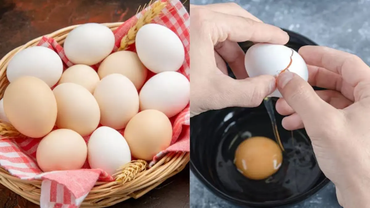 how to identify eggs are real or fake easy tips