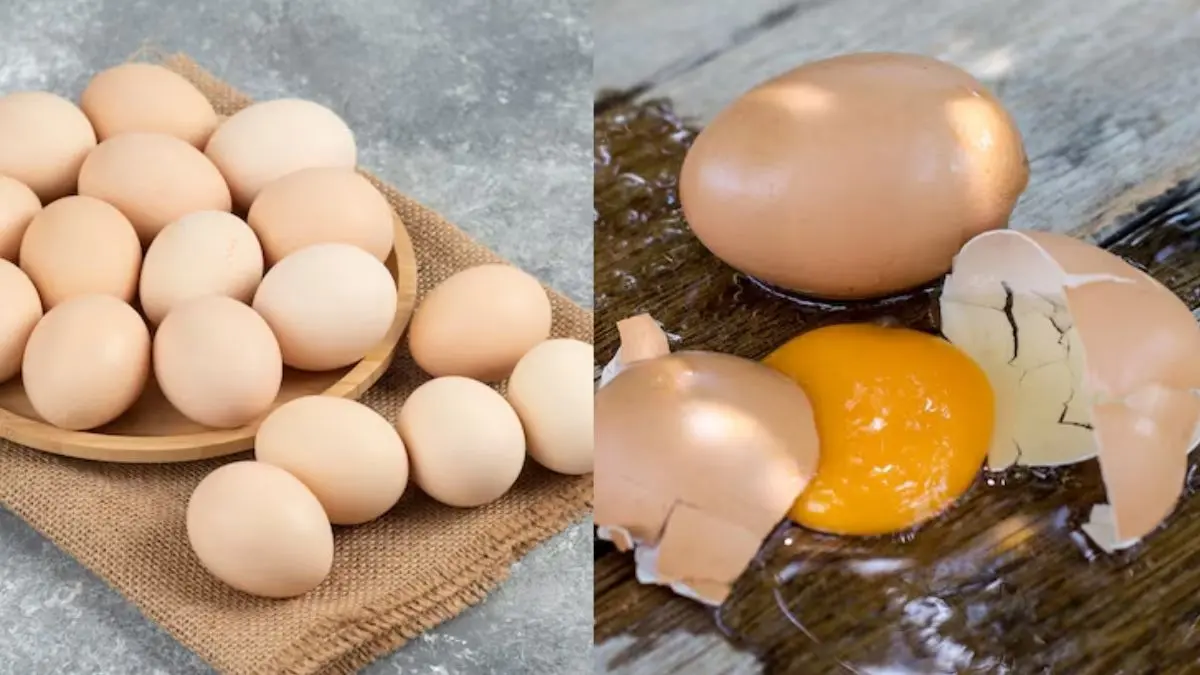 how to know desi egg is real or fake coloured with chemical asli nakli anda ki pehchan kaise kare