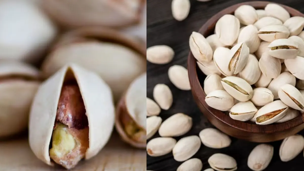 how to know pista is real or fake 