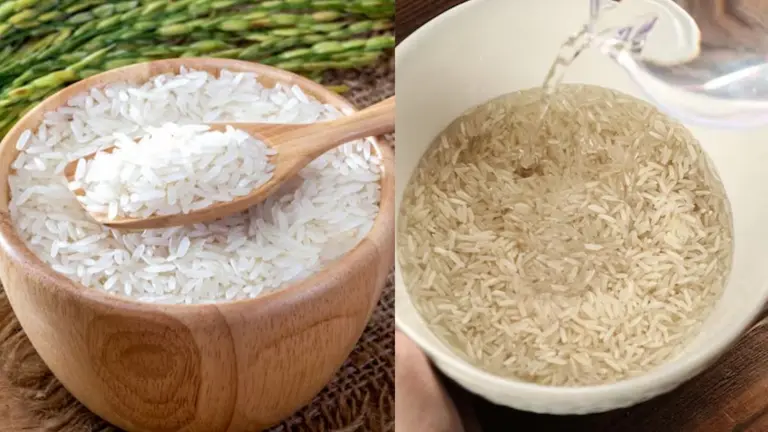 Fake Vs Real Rice: खाने में प्लास्टिक जैसा नकली लगता है चावल? जानें कैसे करें असली की पहचान how to know rice are real or not and made up of plastic
