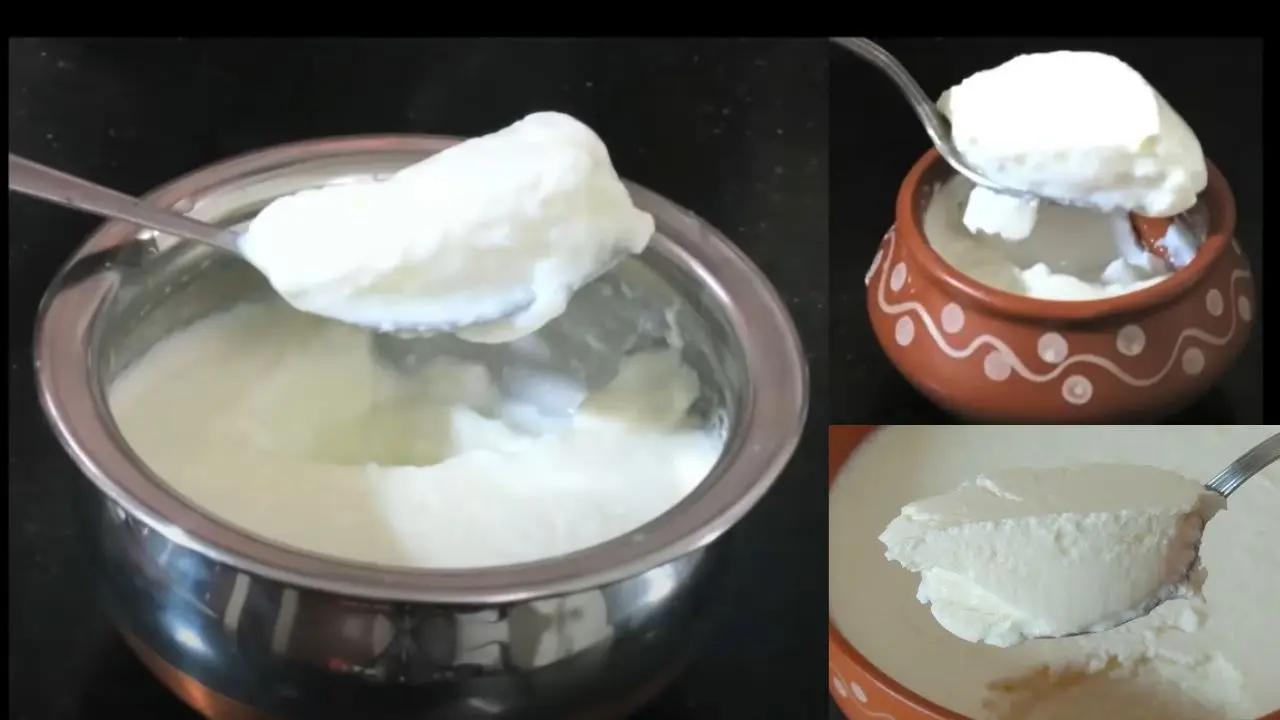 how to make curd at home