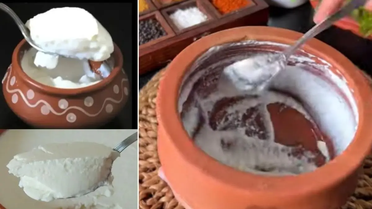 how to make curd at home