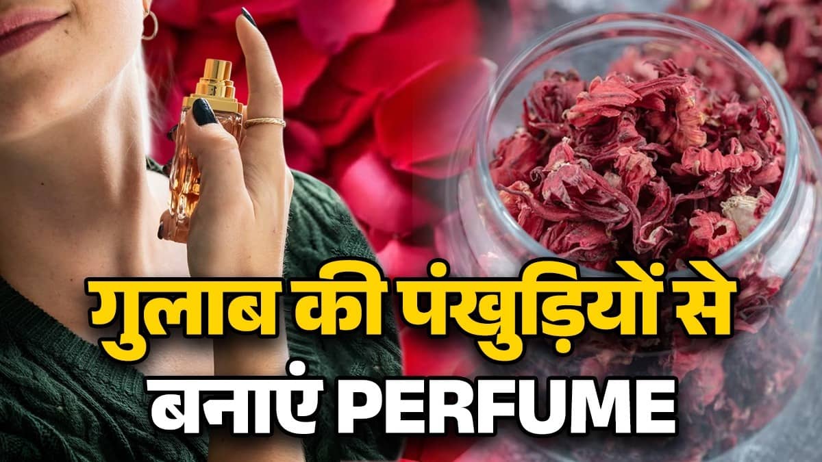 how to make perfume using rose petals roll on diy gulab-ke-phool-se-natural-perfume-aur-roll-on-banane-ka-tarika