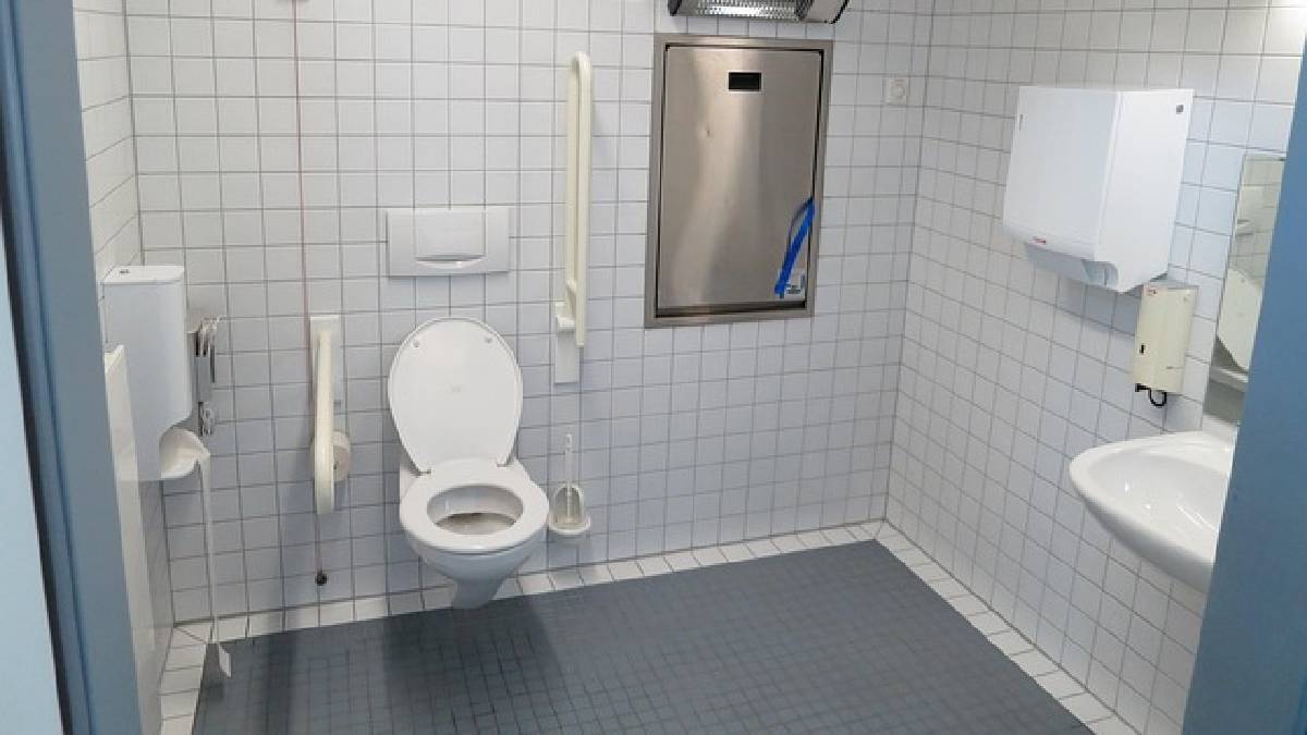 Description of the pic