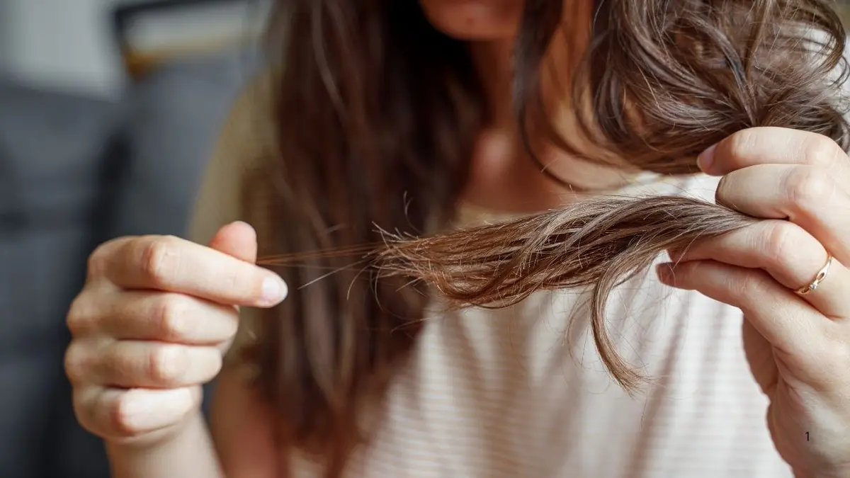 Split Ends: दोमुंहे बालों से छुटकारा पाने के लिए केले में मिलाकर लगाए ये 1 चीज, स्ट्रांग और Shiny Hair का सपना भी होगा पूरा Split end problem