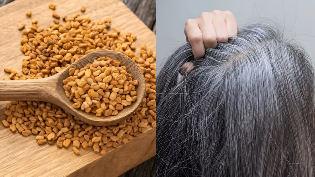 how to use fenugreek seeds and amla powder for white to black hair methi dana ko balon mei lagane ke fayde