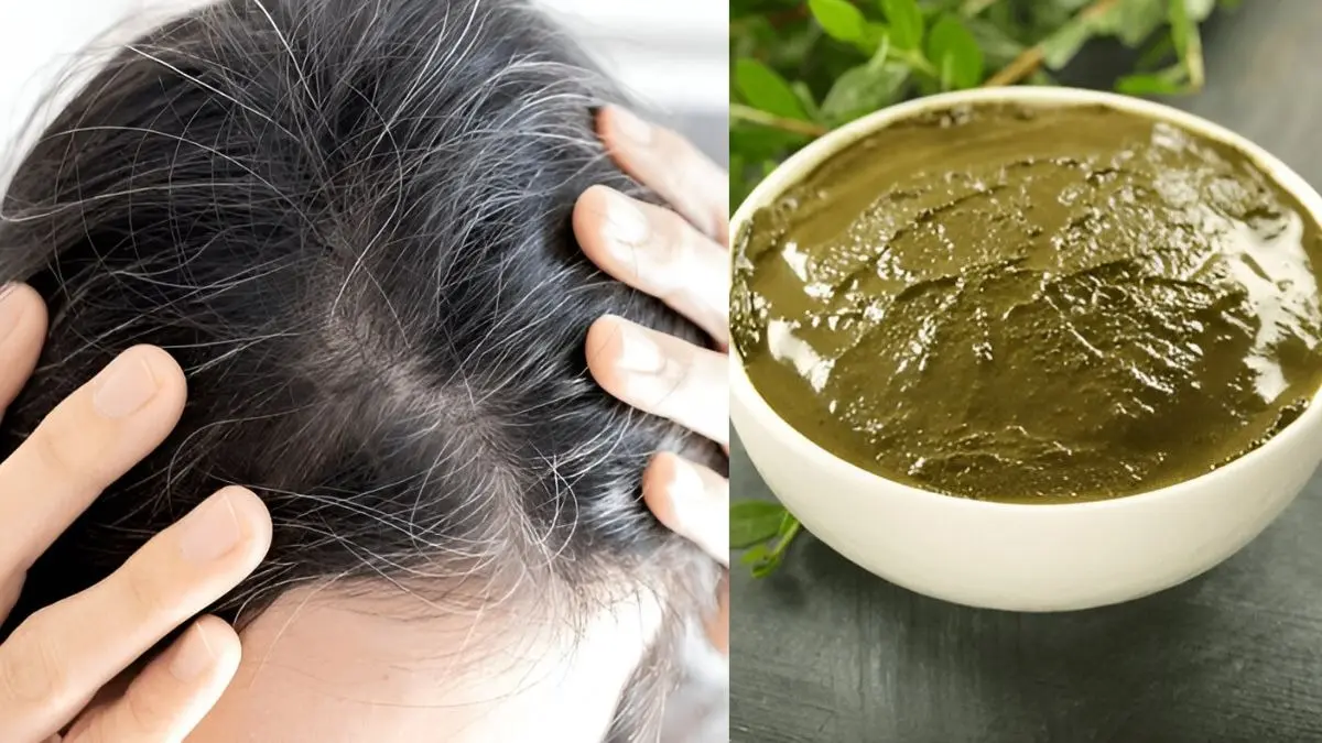how to use mehndi and curry leaves for white to black hair home remedy