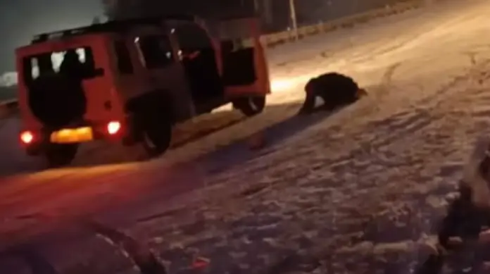 Watch: Driver's Dramatic Escape from Moving Car as It Skids on Snowy Road Near Manali HP Manali