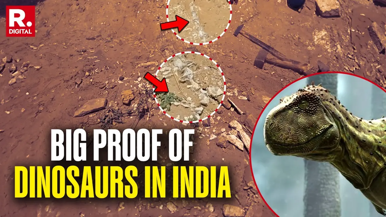 HUGE: First Proof Of Dinosaurs In Jaisalmer Village As Scientists Find Jurassic Era Vertebrae HUGE: First Proof Of Dinosaurs In Jaisalmer Village As Scientists Find Jurassic Era Vertebrae