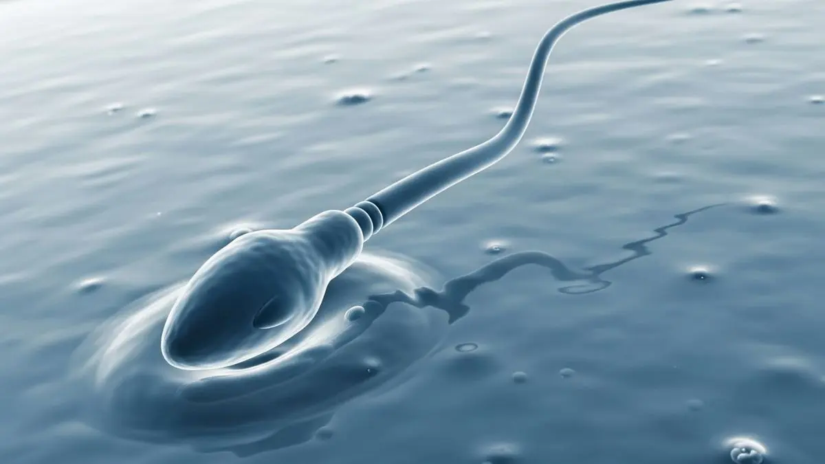 Sperm Donor With Rare Cancer-Causing Gene Fathers Almost 200 Children In Europe