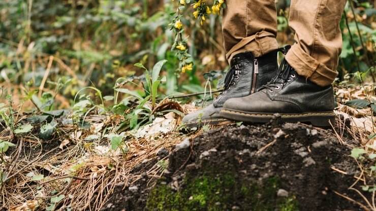 Description of the pic