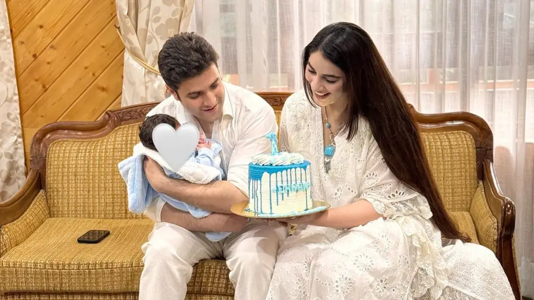 Description of the pic