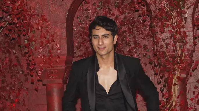 Description of the pic