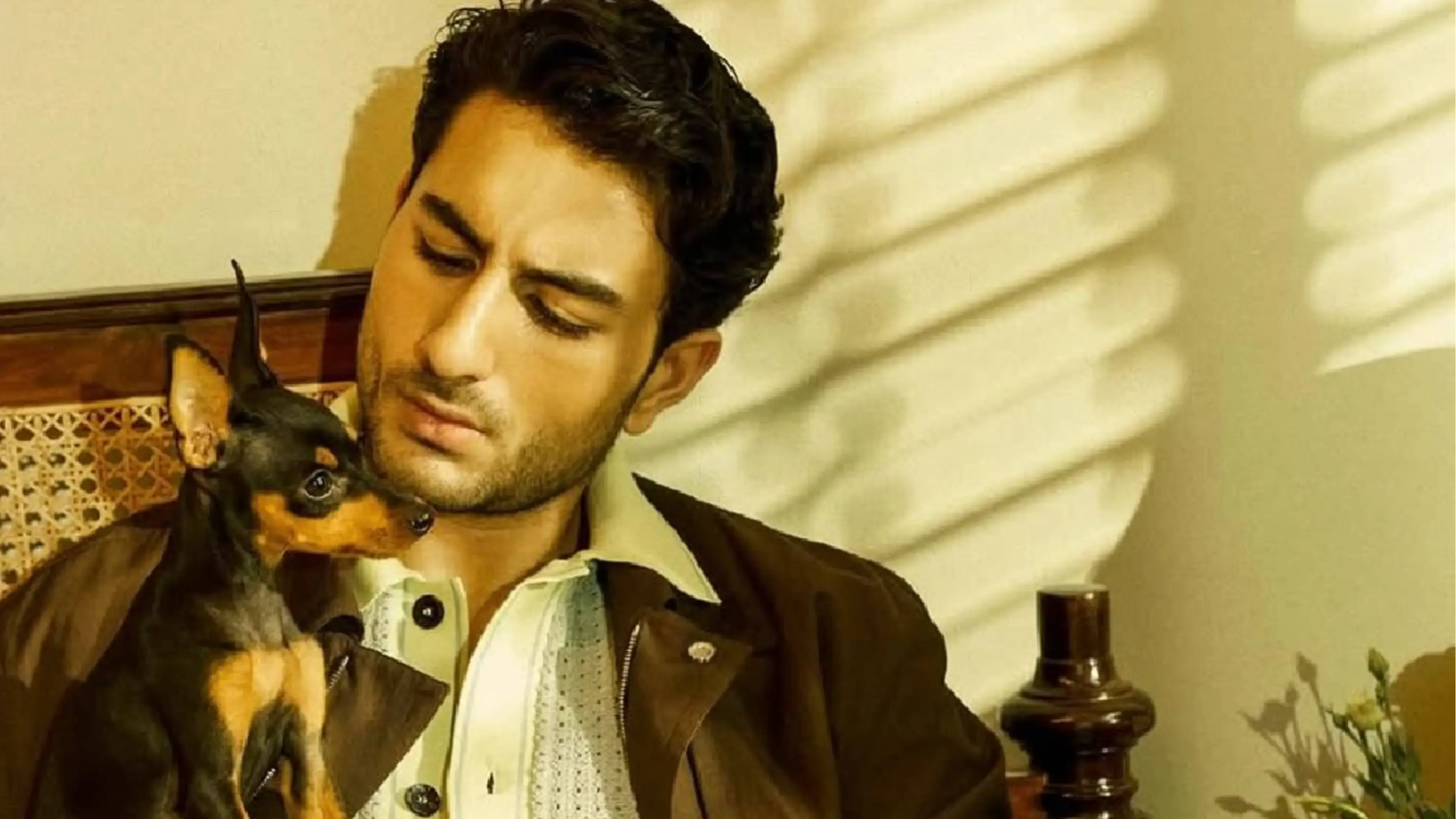 Description of the pic