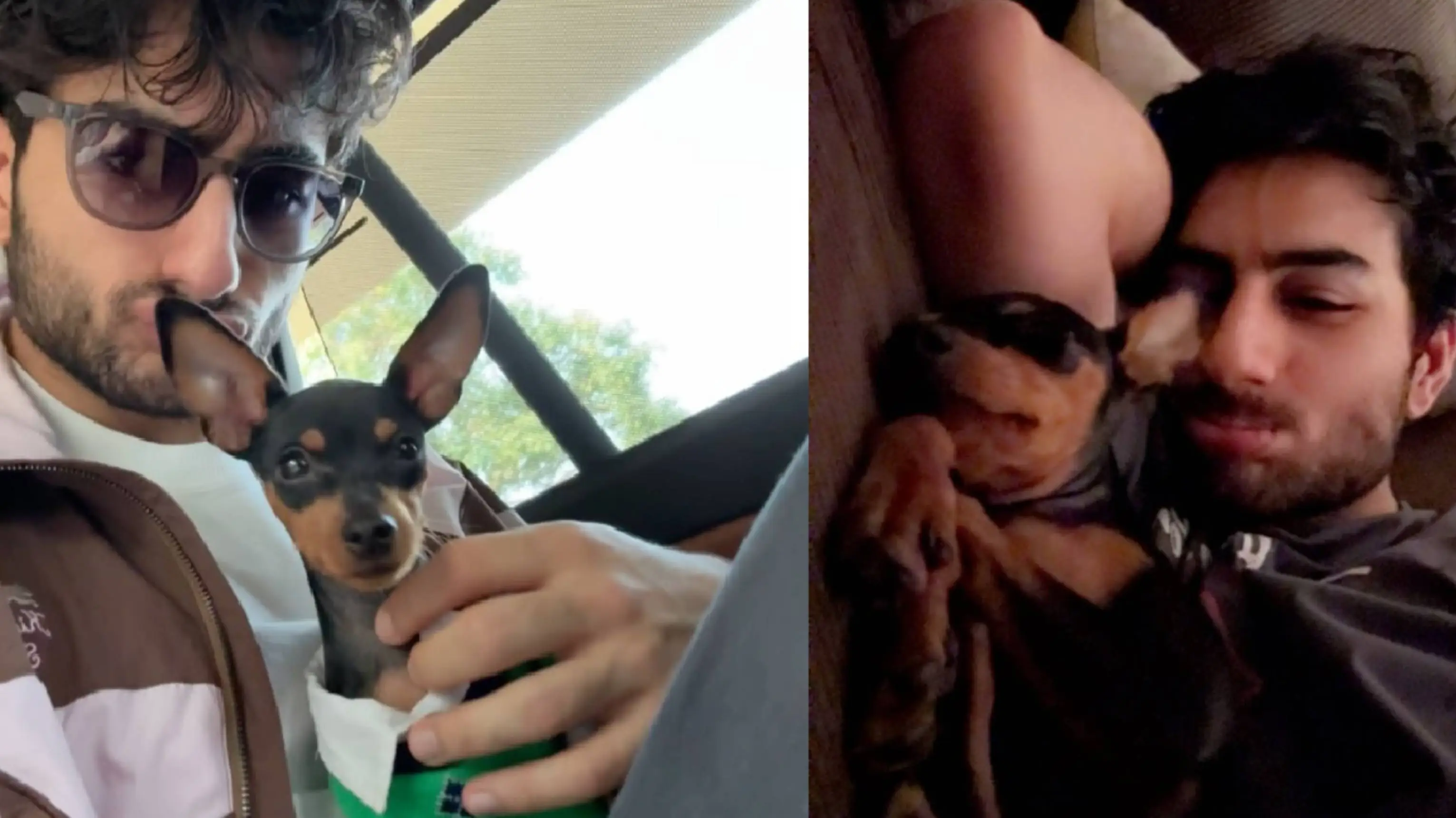 Description of the pic