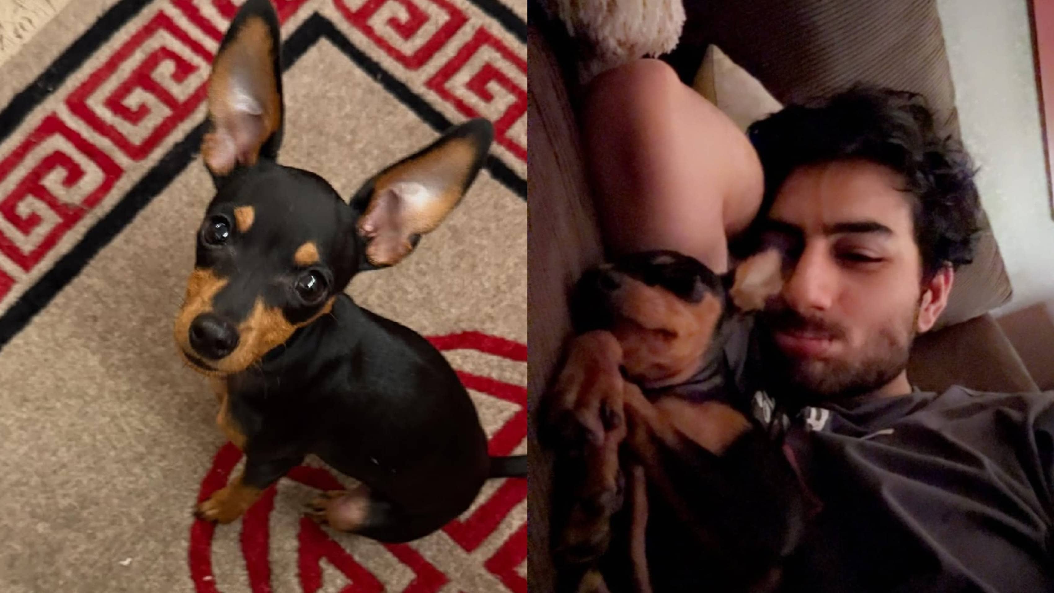 Description of the pic