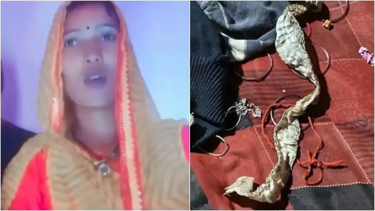 'इच्छाधारी नागिन' का रहस्य UP पुलिस ने सुलझाया, बिस्तर पर सांप की केंचुल छोड़कर भागी युवती, इंस्टाग्राम पर वीडियो बनाकर बताई सारी बात Ichadhari Naagin Mystery