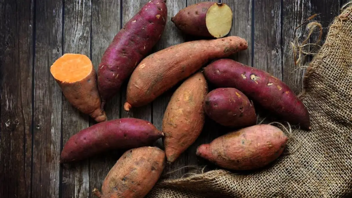 Sweet Potato: सावधान! बाजार में मिल रहे जहरीले शकरकंद? घर में इन 4 तरीकों से करें असली और नकली की पहचान identify chemical colored toxic sweet potato