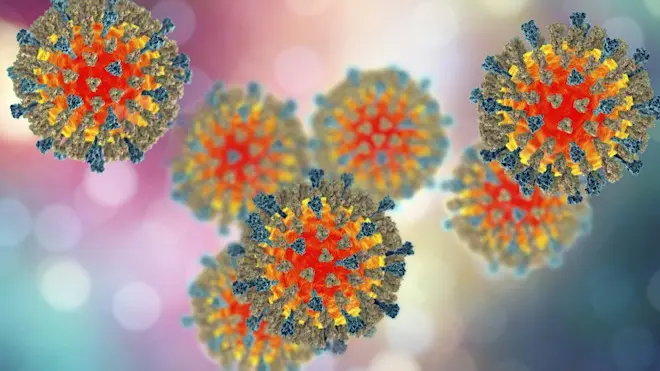 What Is Measels? Symptoms, Prevention, Treatment For One Of The World's Most Contagious Viruses Image for representation