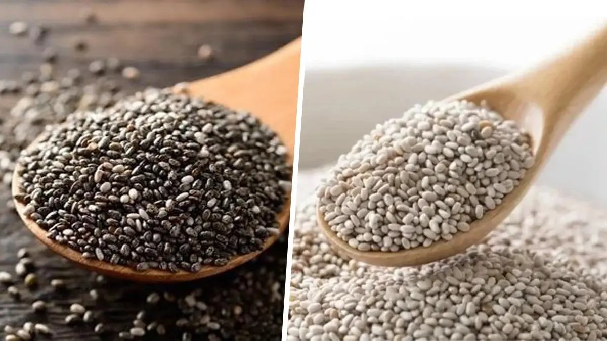 White Chia Seeds Vs Black Chia Seeds: What is The Difference And Which Is Healthier? Image for representation