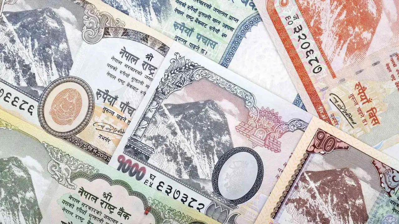 Image for representational purposes only