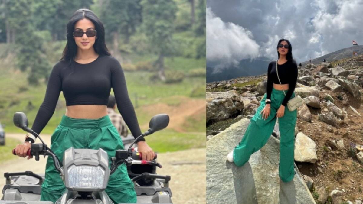 Description of the pic