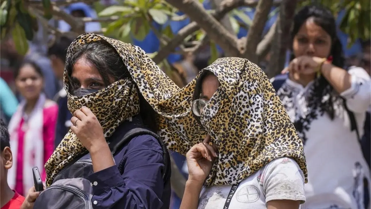 IMD Issues Heatwave Red Alert: Carry These 7 Essentials Before Heading Out To Brave The Extreme Conditions