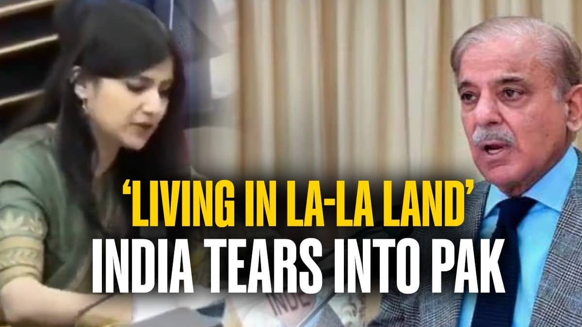 ‘IMF-Bailout Nation Lectures On Kashmir? J&K’s Budget Twice What Pakistan Begged For’: India Roasts Pak At UNHRC