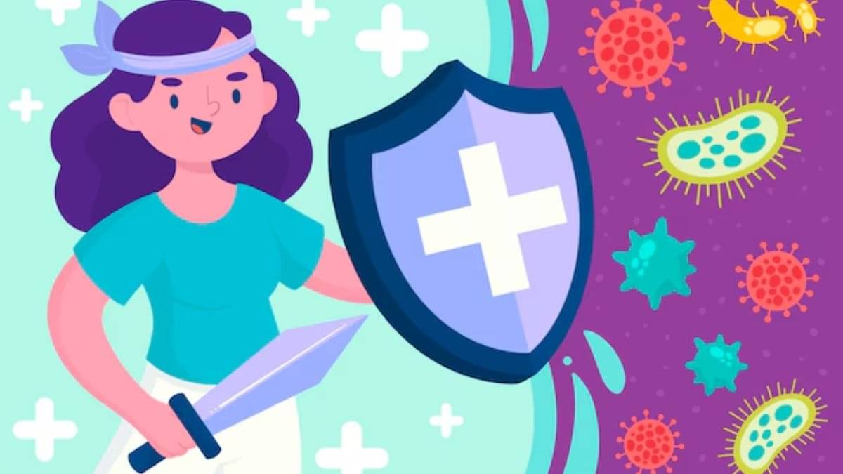 Description of the pic