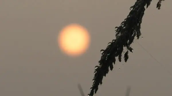 In Odisha's Mayurbhanj, the State Welcomed 2025 With a Stunning First Sunrise