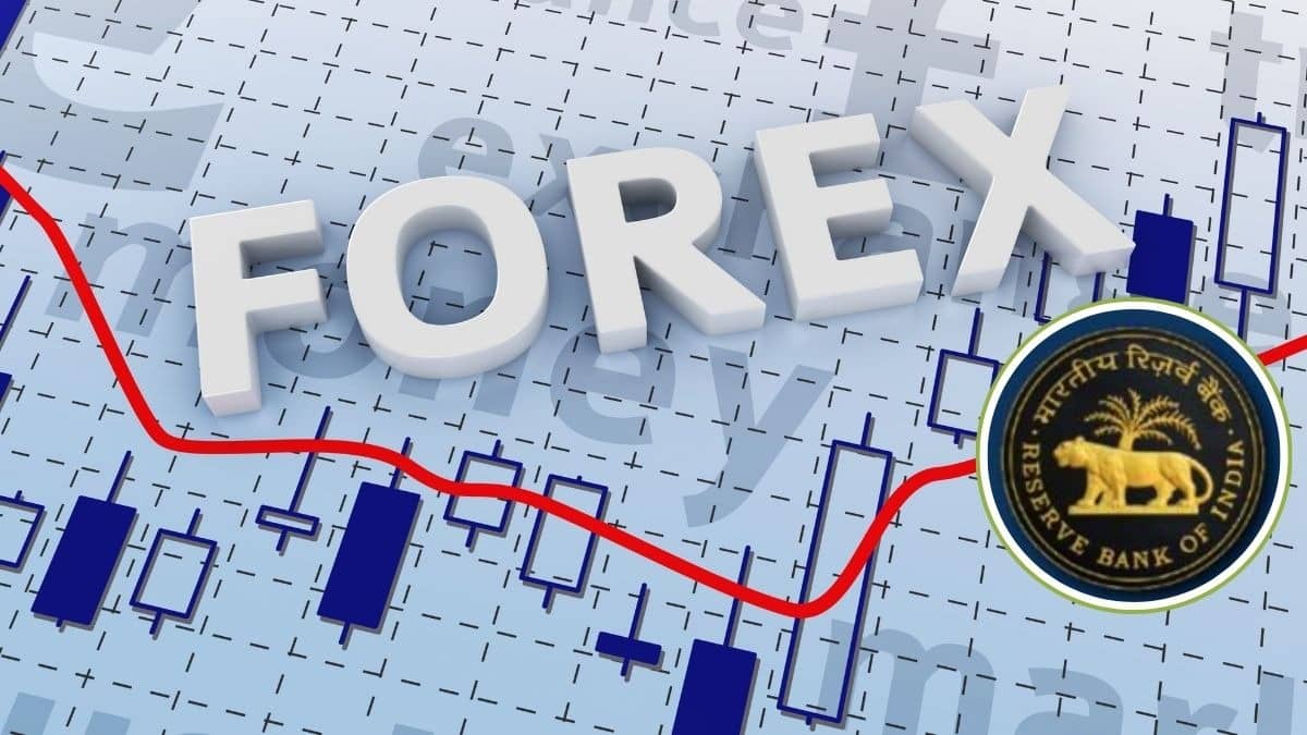 India forex reserves