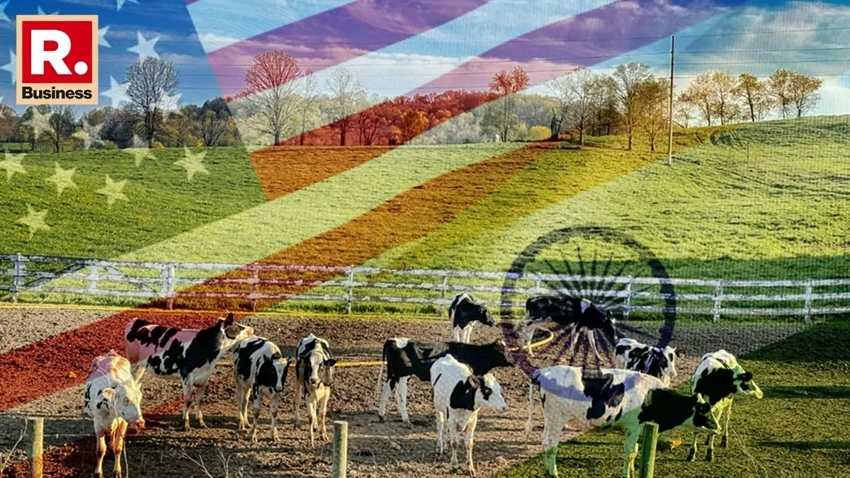 No Concessions on Farm, Dairy Sectors in India–US Trade Deal: Sources India has excluded agriculture and dairy from the India–US trade deal
